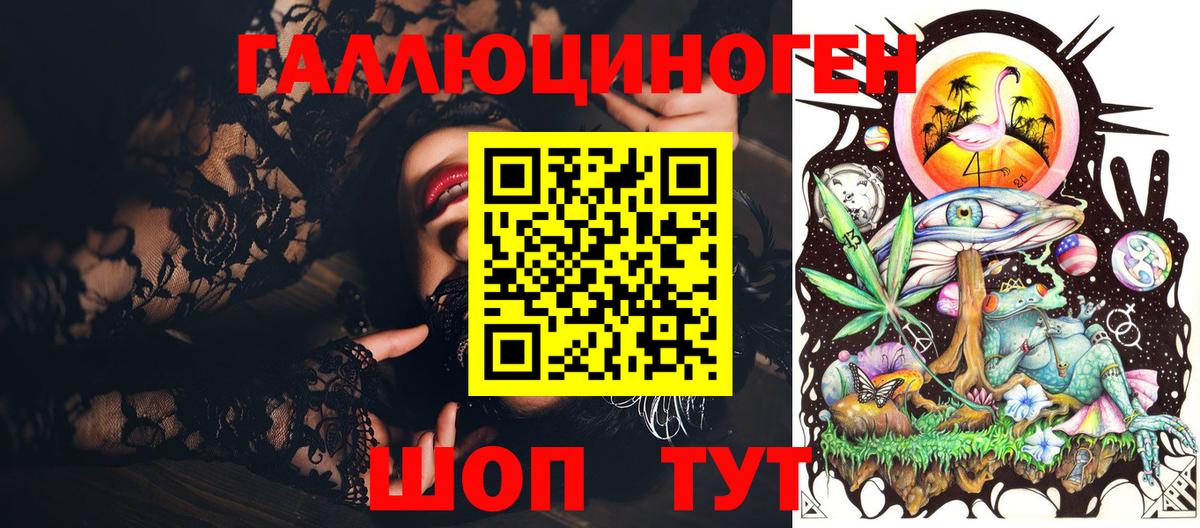 Галлюциногенные грибы Psilocybe Омск