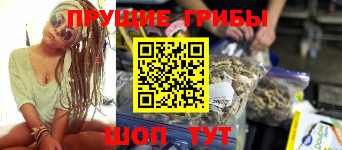 Омск  Галлюциногенные грибы Cubensis  Вход с VPN 